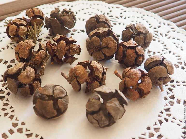Choisissez des bosses pour l'artisanat