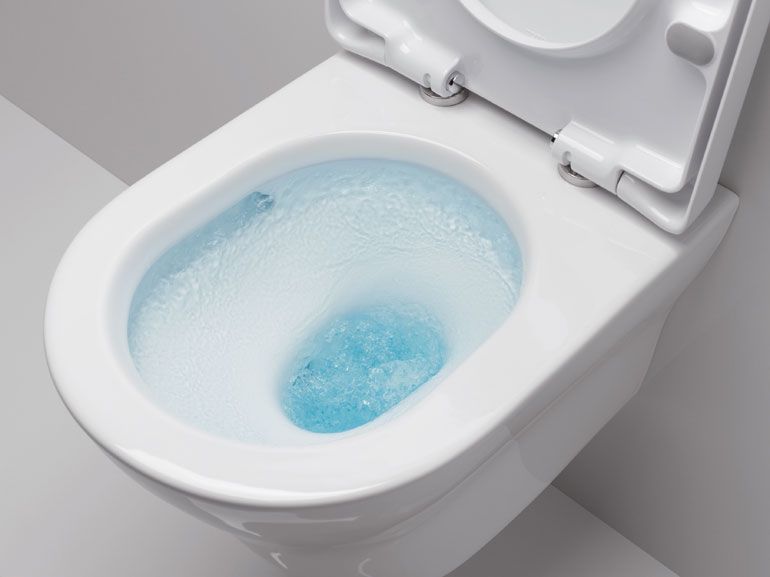 Comment choisir une toilette