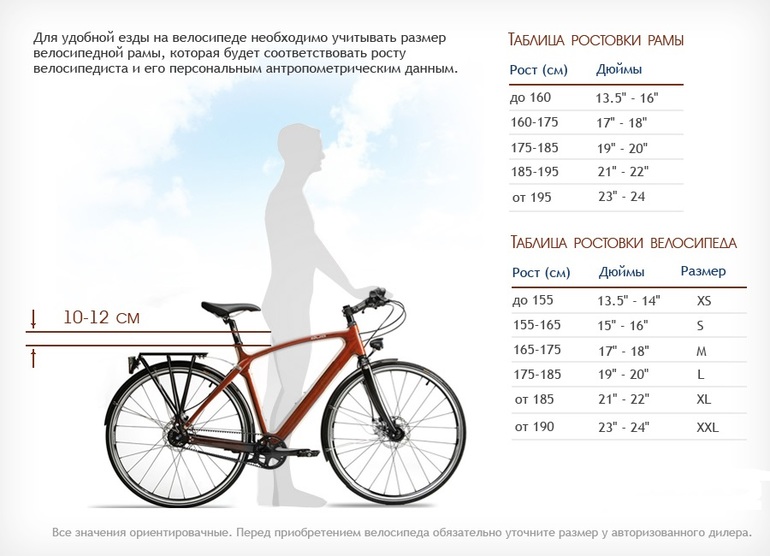 Come scegliere una bici in altezza
