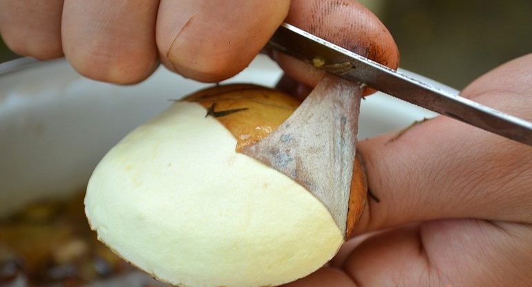 Enlever le mucus d'un graisseur