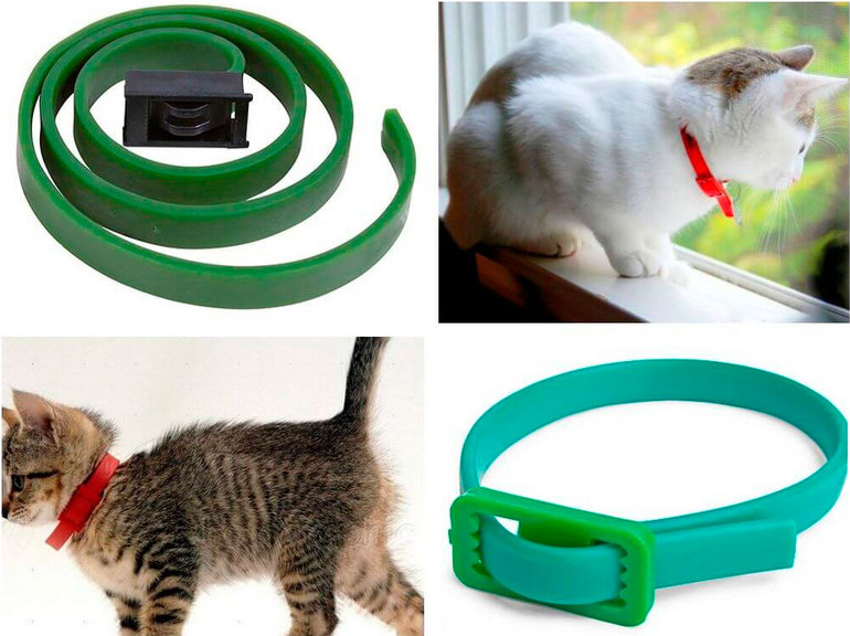 Collier anti-acariens,