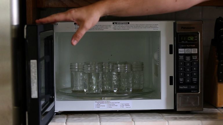 Micro-ondes à la vapeur